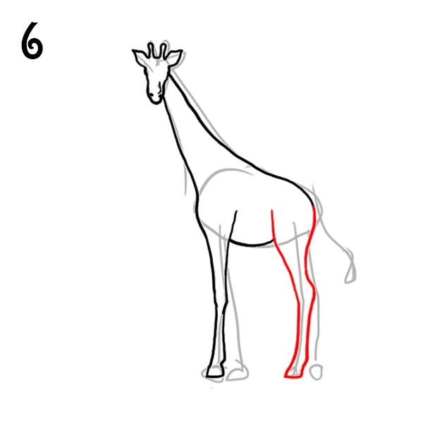 На рисунке изображен жираф. Рисование жирафа. Рисуем жирафа. Поэтапное рисование жирафа. Жираф рисунок для детей карандашом.