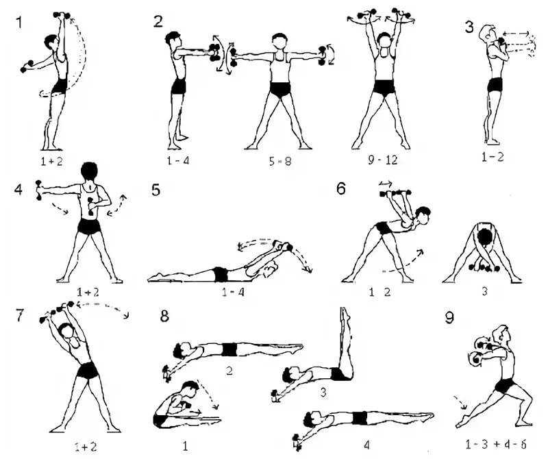 Утренняя зарядка упражнения в картинках с описанием