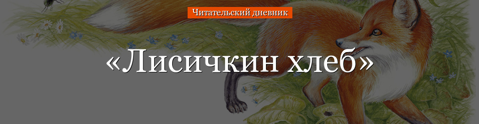 Пришвин лисичкин краткое содержание. Лисичкин хлеб читательский. Лисичкин хлеб читательский дневник. Пришвин Лисичкин хлеб читательский дневник.