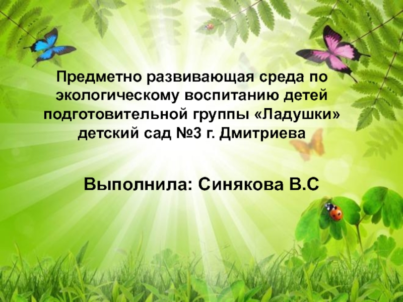 Долгосрочный проект по экологии в детском саду