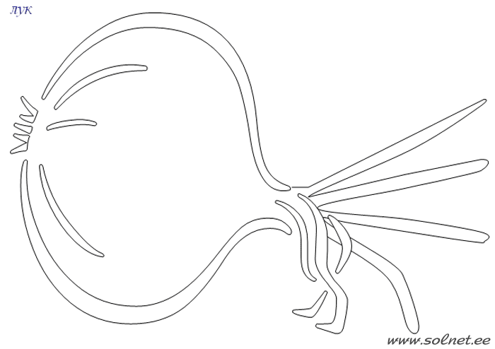 Картинка лук для детей для раскрашивания