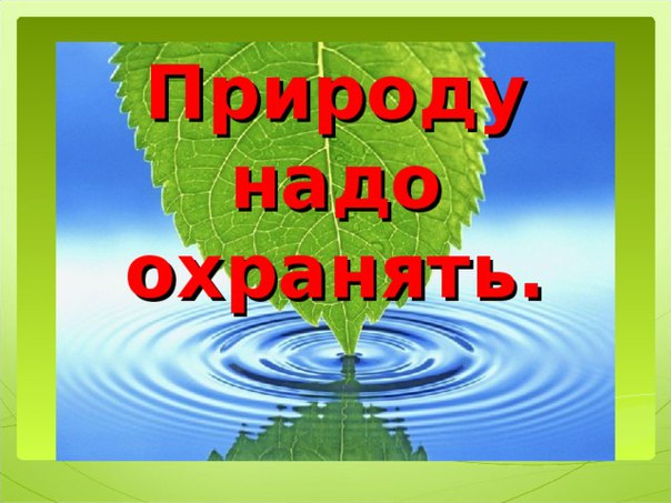 Проект берегите природу 3 класс окружающий мир