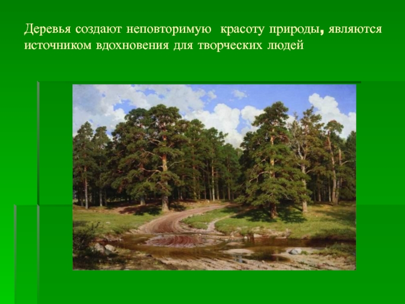 3 предложения о природе. Презентация на тему красота природы. Рассказ о красоте природы. Описание красоты природы. Описать красоту природы.