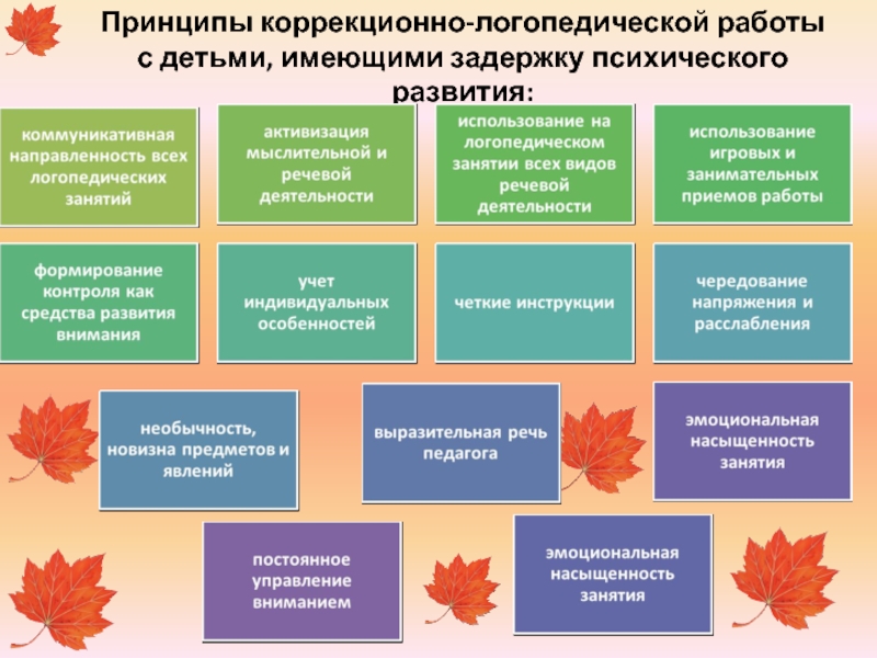 План занятий дефектолога с детьми с зпр