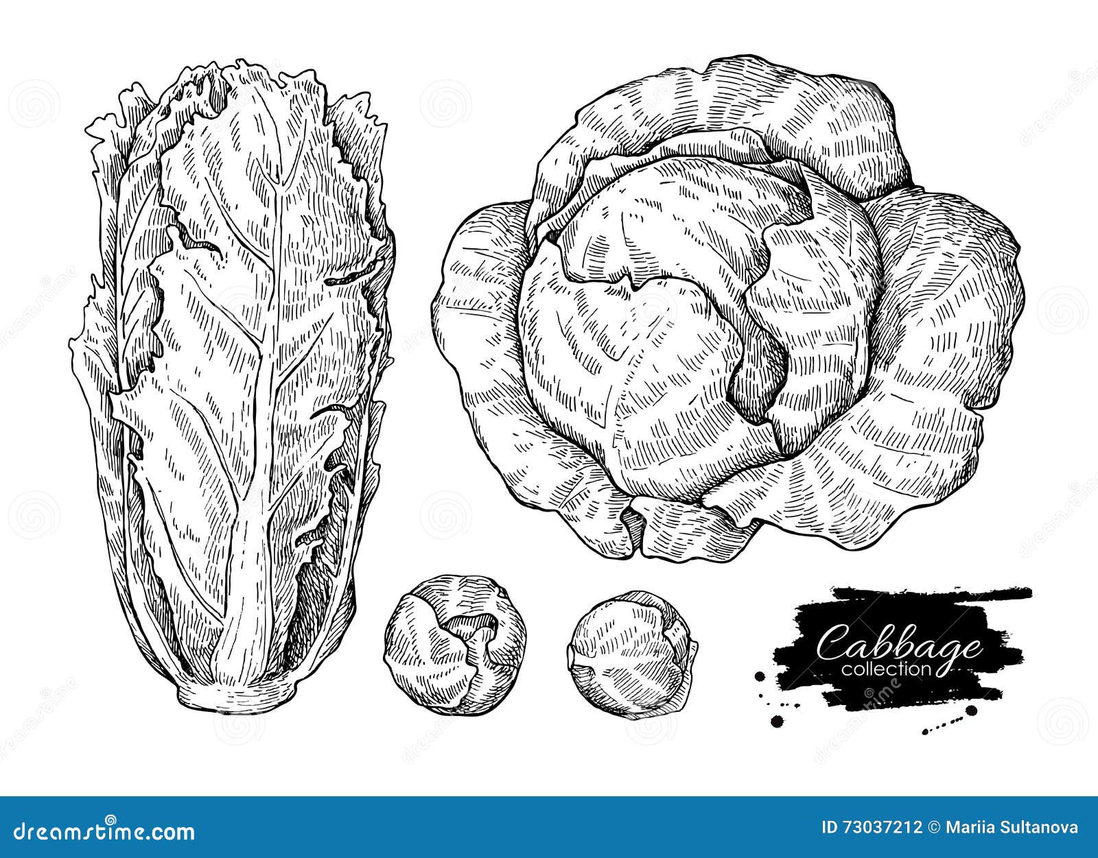 Капуста чб рисунок