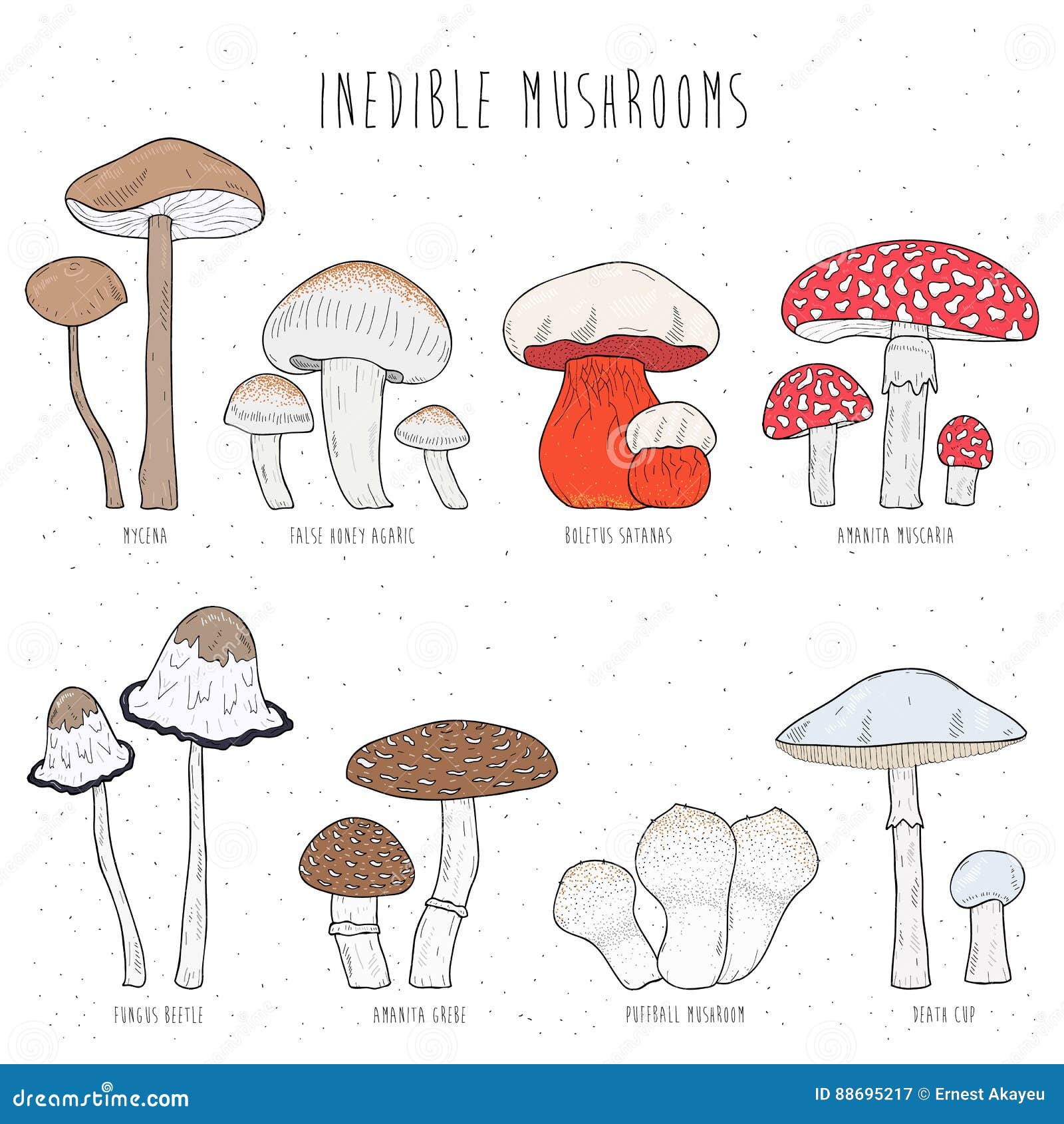 Как нарисовать грибы съедобные и несъедобные