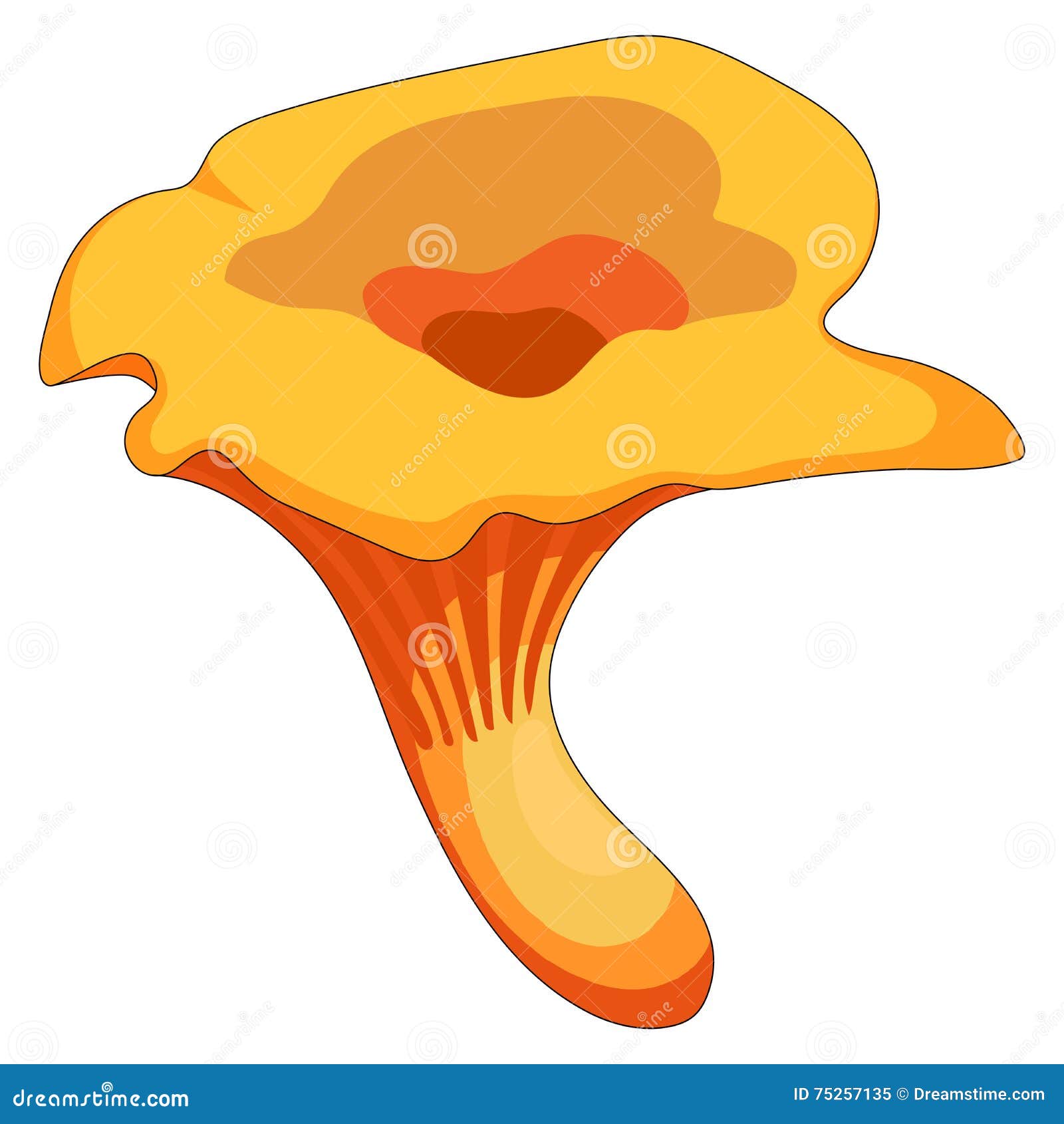 Лисичка гриб картинка на прозрачном фоне