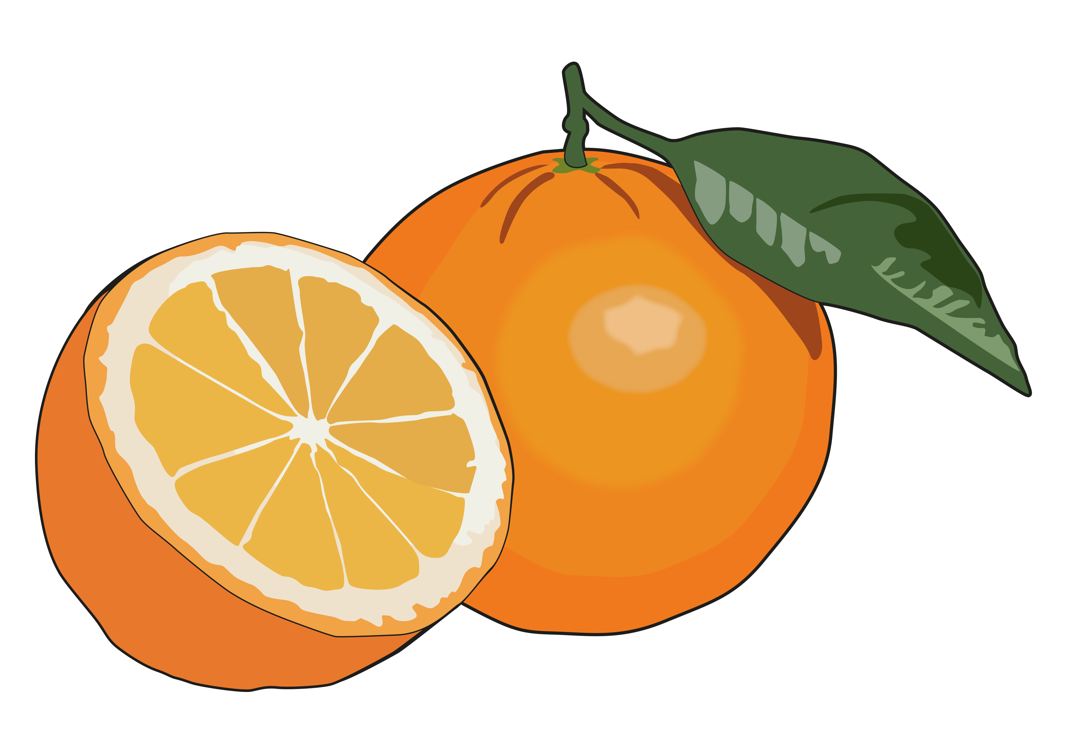 Апельсин картинка для детей на прозрачном фоне. Апельсин картинка для детей. Апельсин рисунок для детей. Апельсины мультяшные. Нарисовать апельсин.