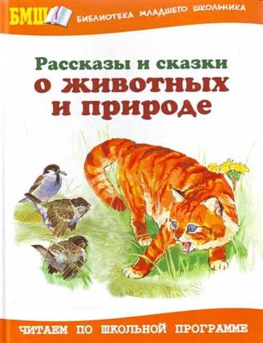 Картинки к рассказу паустовского подарок