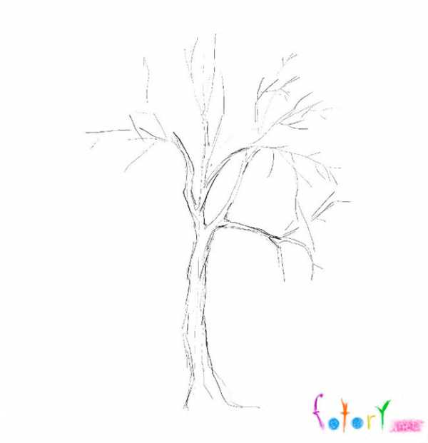 Как нарисовать дерево в paint