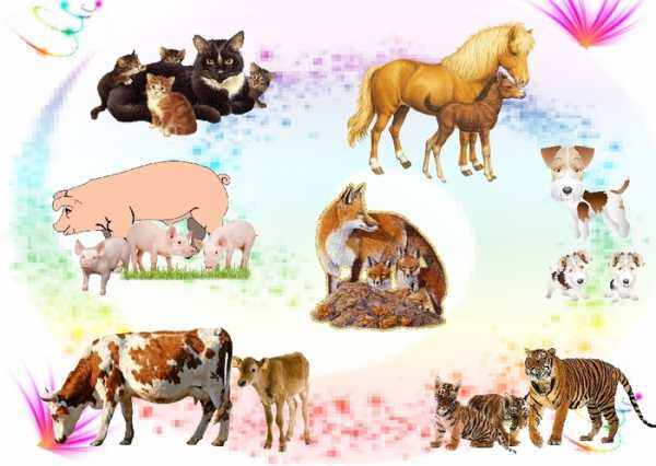 Картинки с дикими животными для детей распечатать
