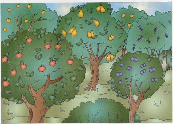 Цветущий яблоневый сад картинки для детей
