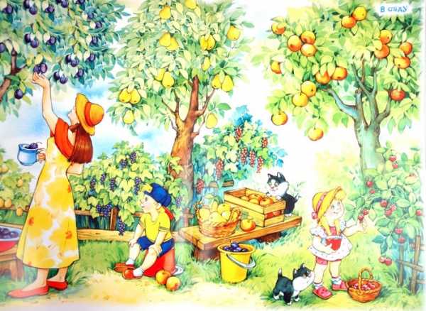 Цветущий яблоневый сад картинки для детей