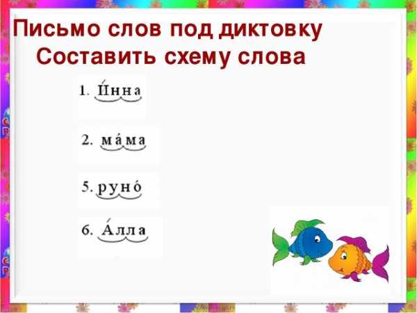 Пеликан схема слова