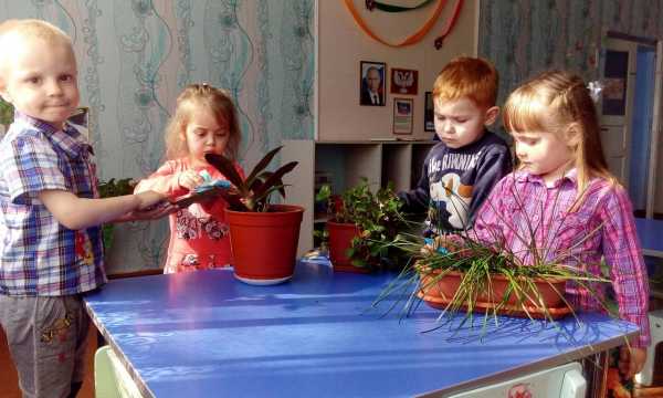 Хозяйственно бытовой труд в старшей группе картинки