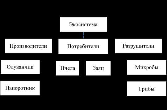 Где можно сделать кластер на компьютере