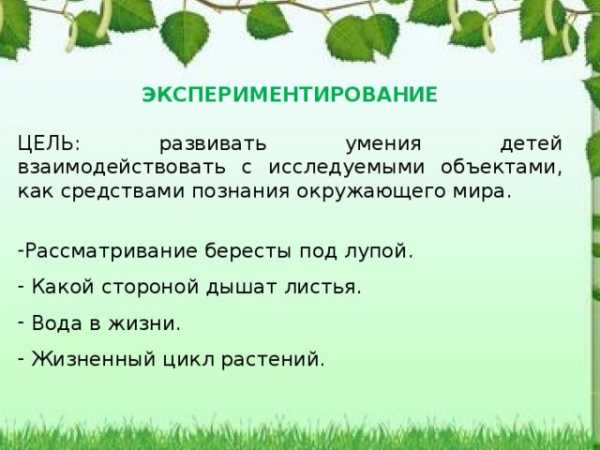 Краткосрочный проект по экологии в подготовительной группе