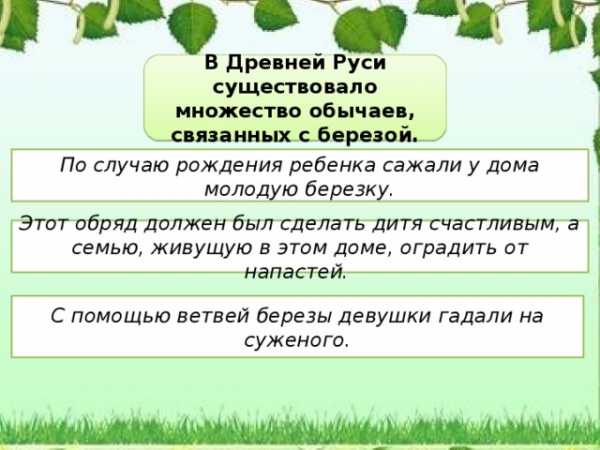 Краткосрочный проект по экологии в подготовительной группе