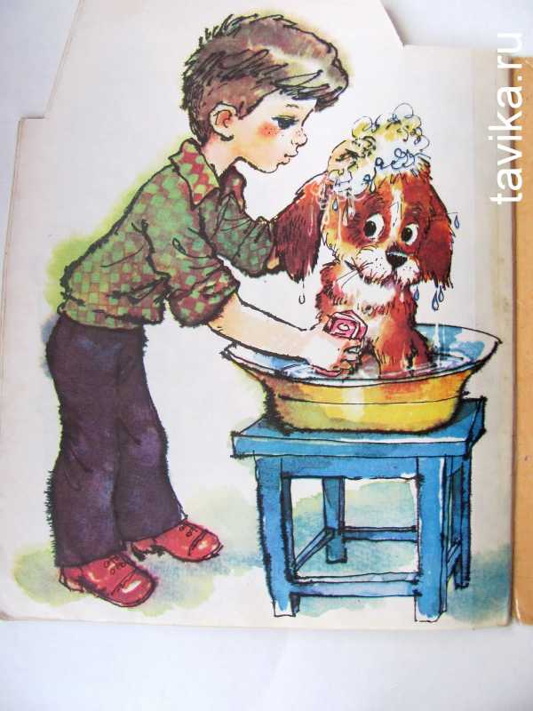 Рассказ к картинке мальчик с собакой