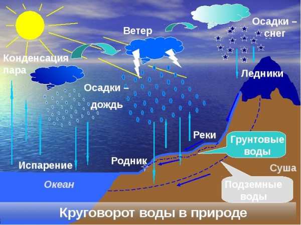 Нарисуйте схему круговорота воды в природе какое значение имеет мировой круговорот воды