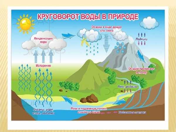 Нарисуйте схему круговорота воды в природе какое значение имеет мировой круговорот воды