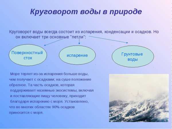 Составьте схему круговорота воды в природе какое значение в природе имеет вода