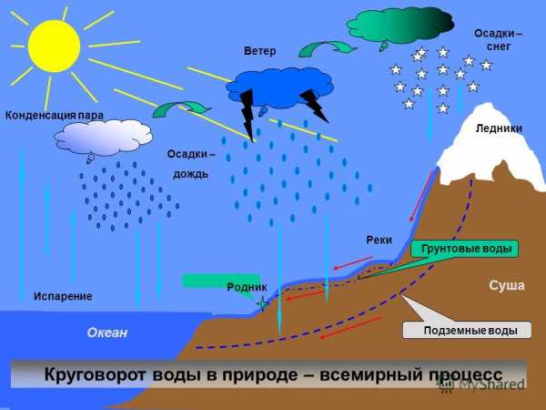 Круговорот воды в природе картинки для детей