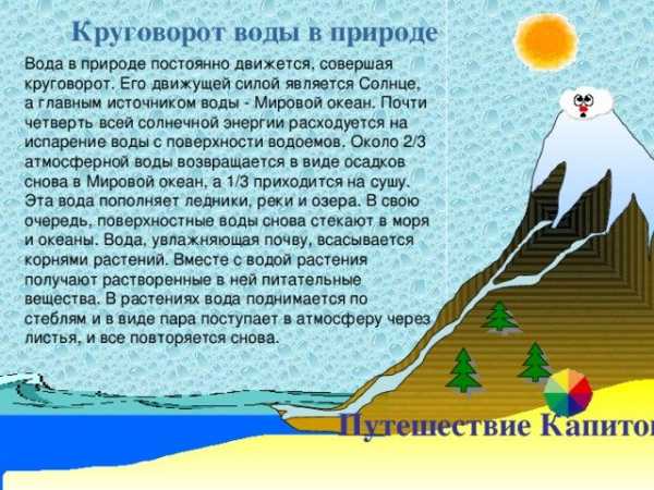 Составьте схему круговорота воды в природе какое значение в природе имеет вода