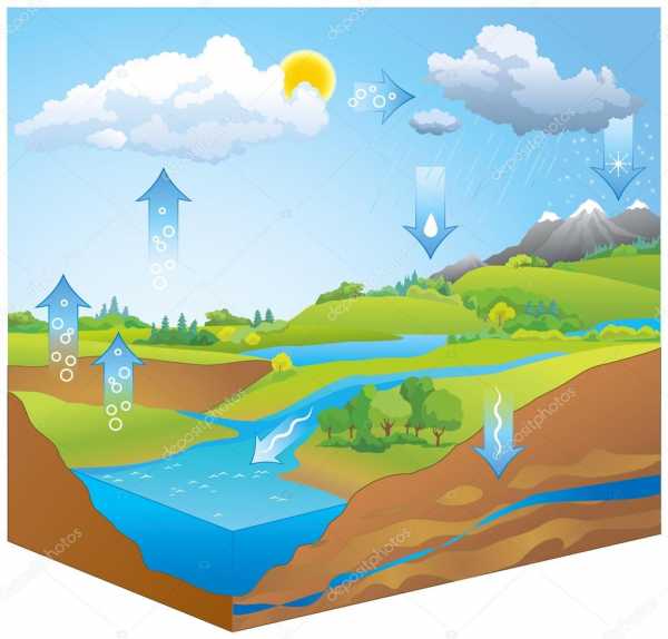 Круговорот воды в природе рисунок для детей