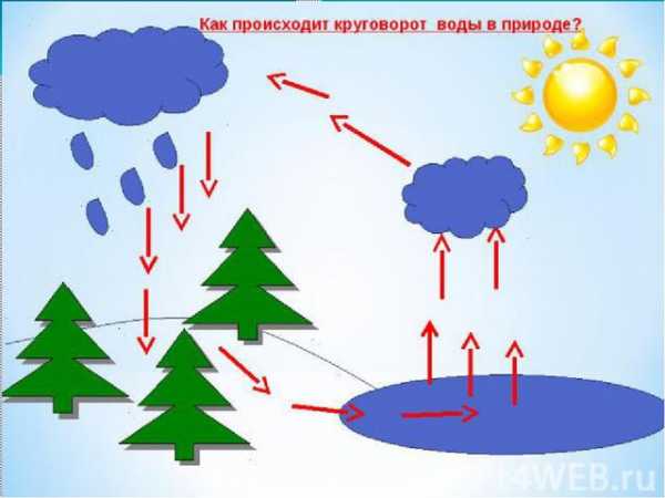 Расскажите о круговороте воды в природе составьте логическую схему круговорота воды кратко