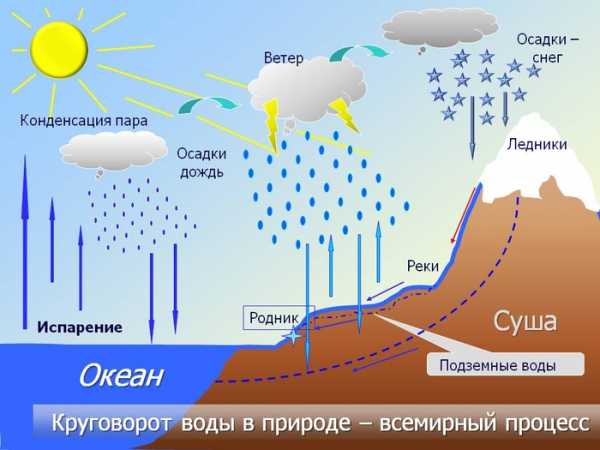 Нарисуйте схему круговорота воды в природе какое значение имеет мировой круговорот воды