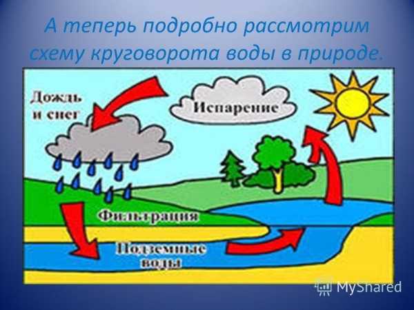 Расскажите о круговороте воды в природе составьте логическую схему круговорота воды кратко