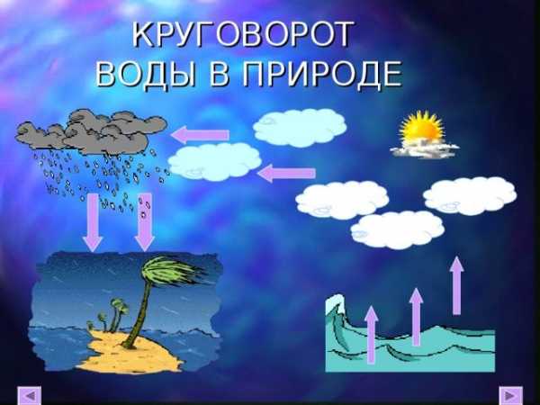 На рисунке показано цветение воды в озере байкал установите последовательность процессов