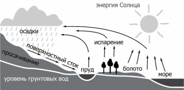 Какой процесс мирового круговорота воды отмечен на рисунке знаком вопроса