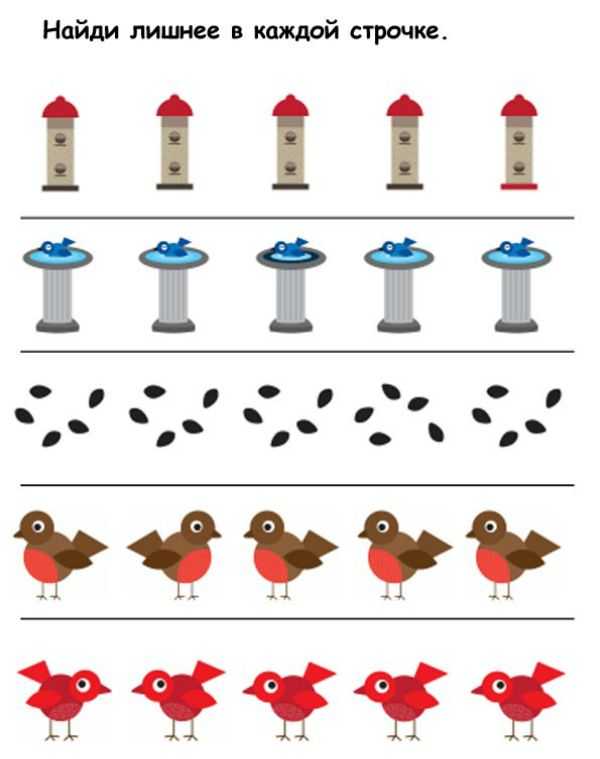 Считаем птиц. Математические птички для дошкольников. Задания с птичками для малышей. Логические задания на тему птицы. Развивающие занятия для детей про птиц.