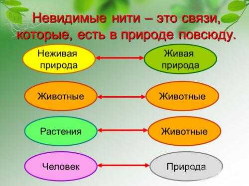 Взаимосвязи между человеком и природой окружающий мир 1 класс школа россии презентация