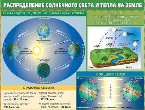 Природные часы проект по биологии