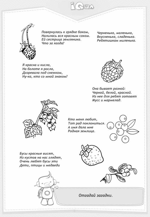 Садовые ягоды картинки для детей с названиями